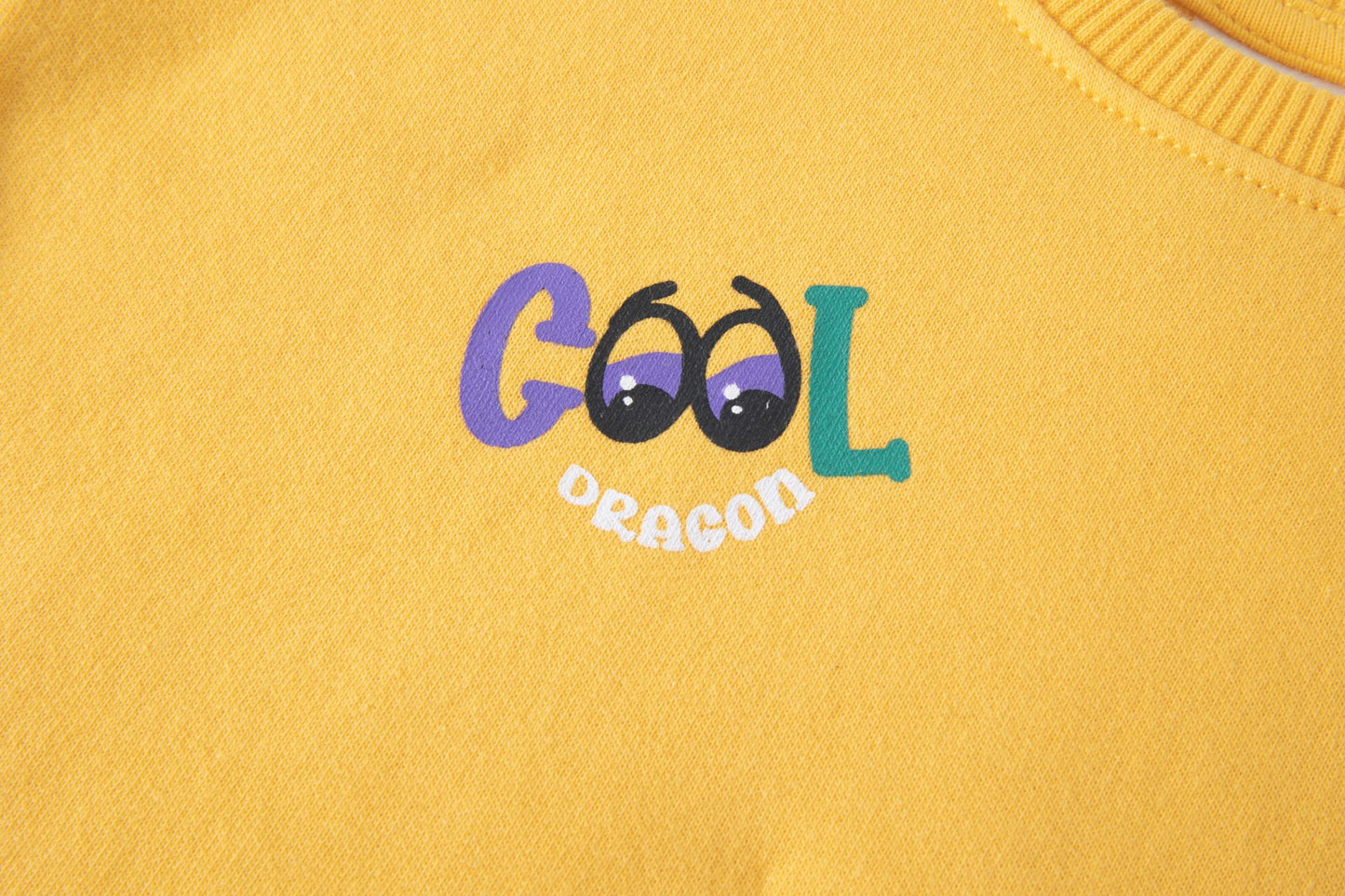 Sudadera de bebe niño, cuello caja y hombros caídos. Felpa perchada. Gráfico imitando bolsillo frontal y de dragón estampado al agua, con cola en 3D. Etiqueta decorativa. Abertura de corchetes en hombro.