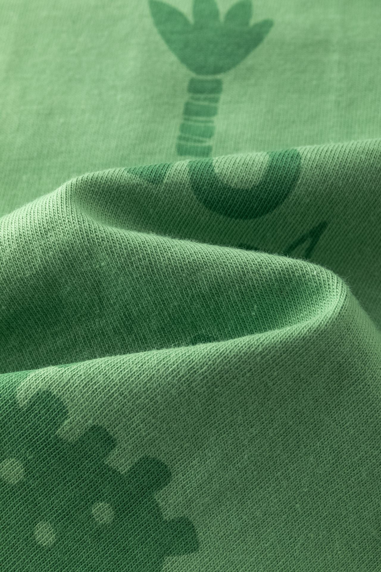 Camiseta Bebé Niño Verde con Estampado Dinosaurio y Texto "ROAR" | 6-24M BBI65007