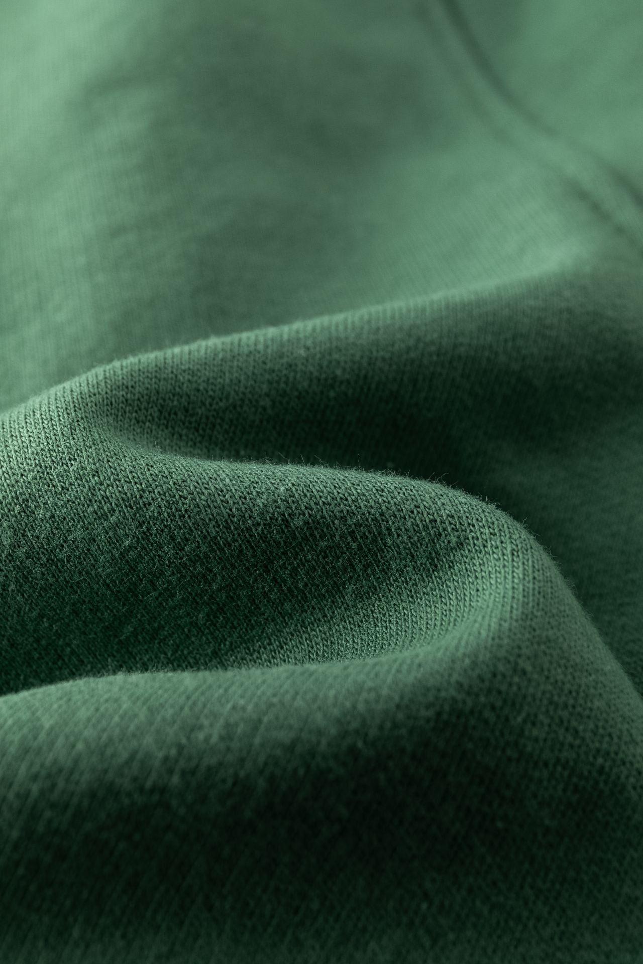 👶🦖 Pantalón deportivo afelpado bebé niño | Verde con detalle Dino | 6-24M - BBI65010