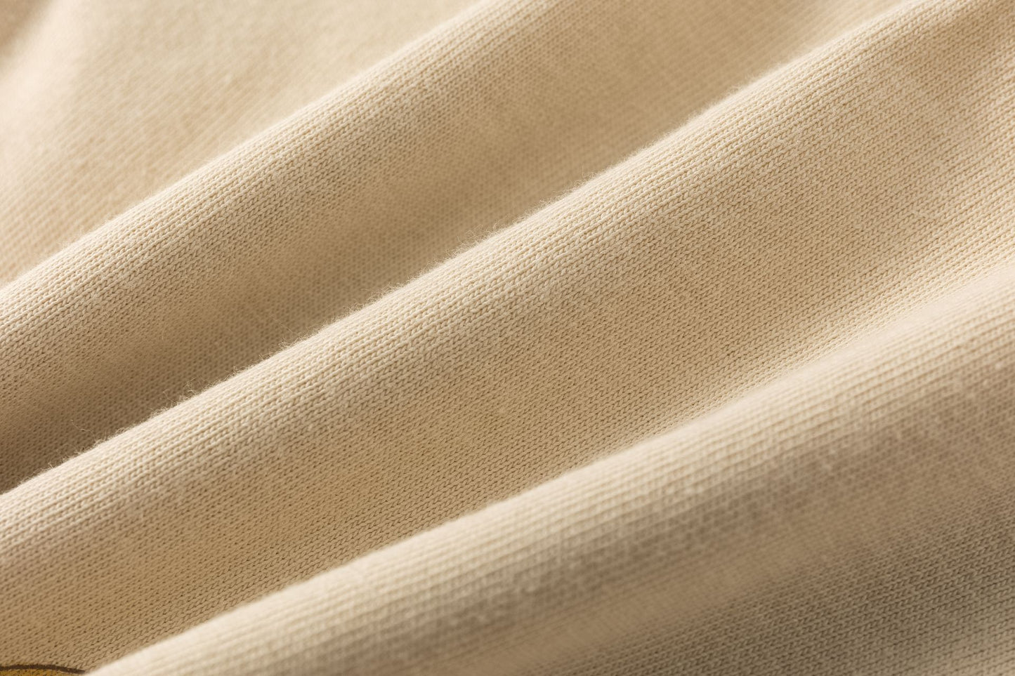 Camiseta Bebé Niño Manga Larga Beige con Animales (6-24M) 🐻🦊