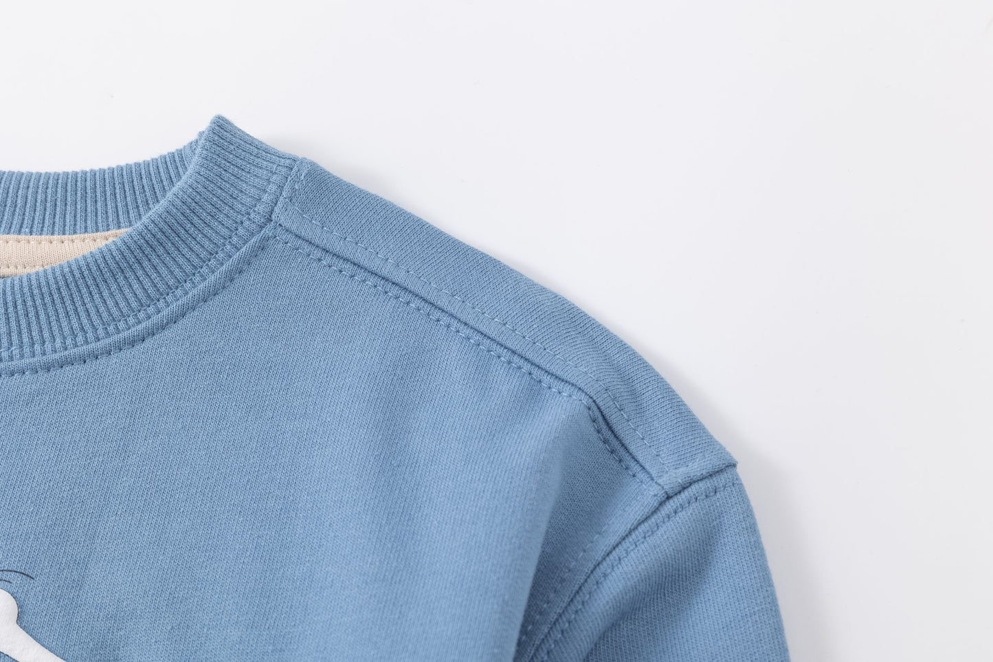 Conjunto bebé niño sudadera y pantalón felpa rizo perrito | Azul claro | 2-6 años