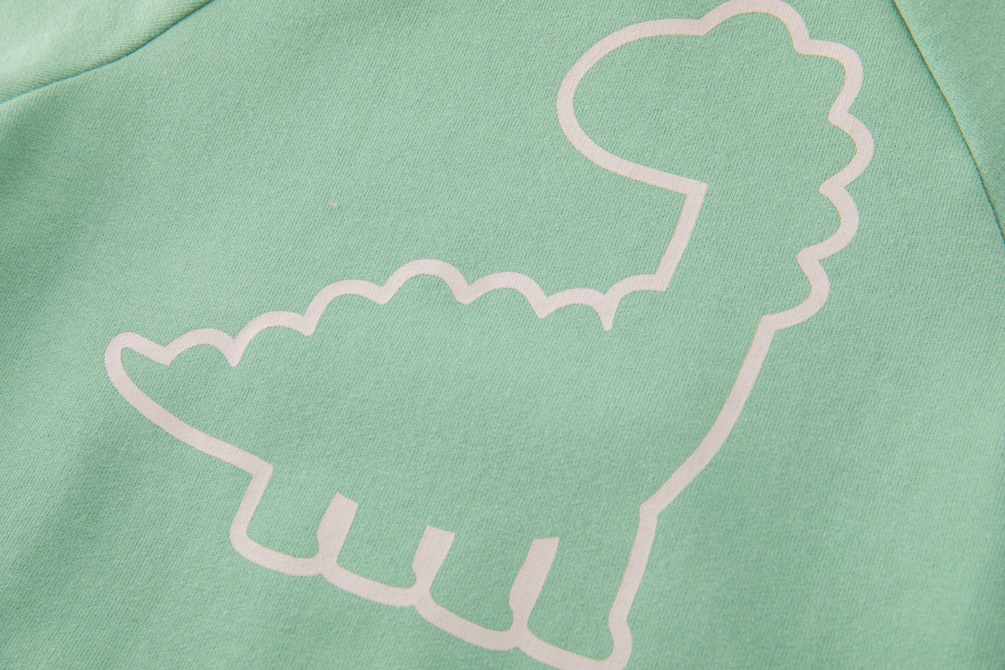 🦖 Sudadera bebé niño perchada con capucha Dino | Verde Claro 6-24M- BBI65000