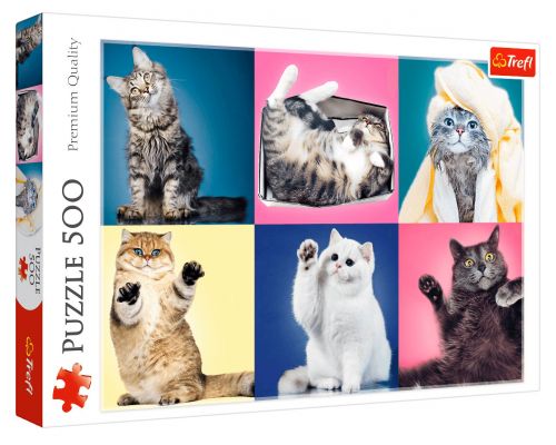 PUZZLE GATITOS 500 PIEZAS