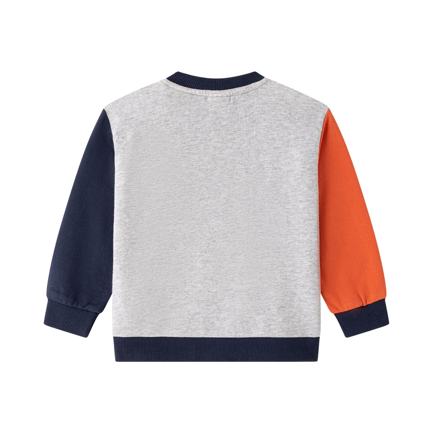 Sudadera de bebe niño, cuello caja y hombros caídos. Felpa de rizo. Mangas y cuello con color a contraste. Abertura de corchetes en hombro.