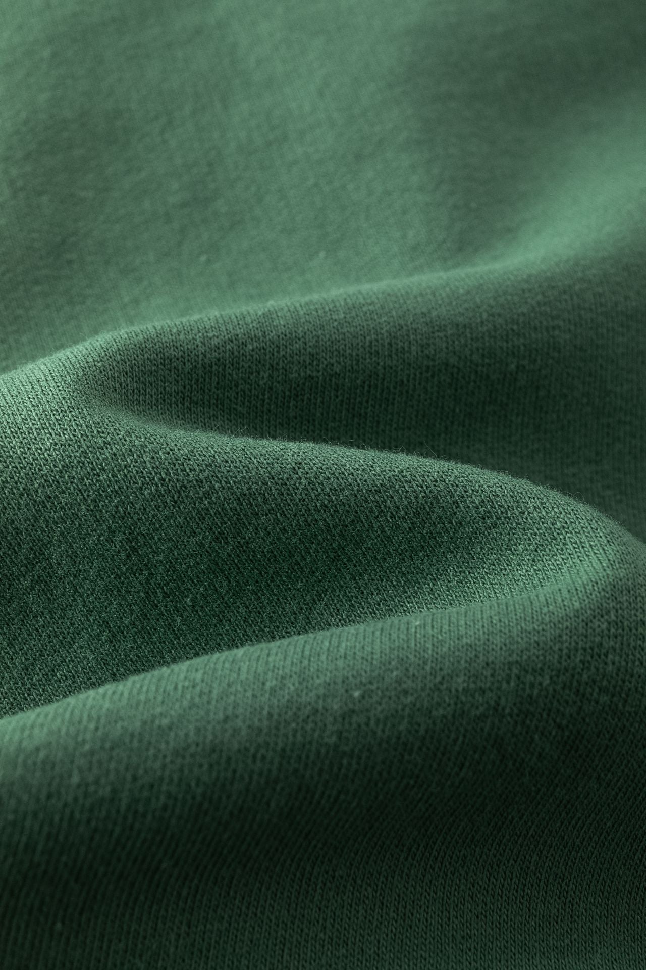 🦖🧥 Chaqueta con capucha bebé niño perchada | Verde | 6-24M - BBI65004