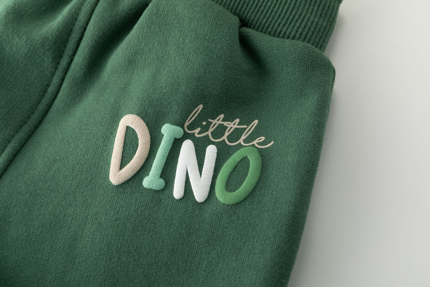 👶🦖 Pantalón deportivo afelpado bebé niño | Verde con detalle Dino | 6-24M - BBI65010