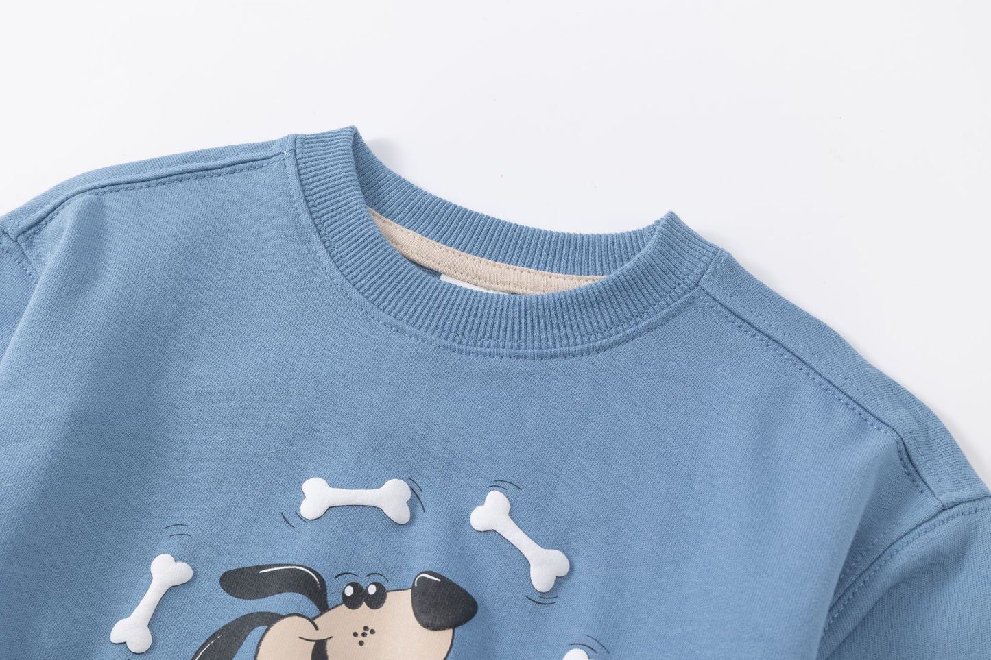 Conjunto bebé niño sudadera y pantalón felpa rizo perrito | Azul claro | 2-6 años