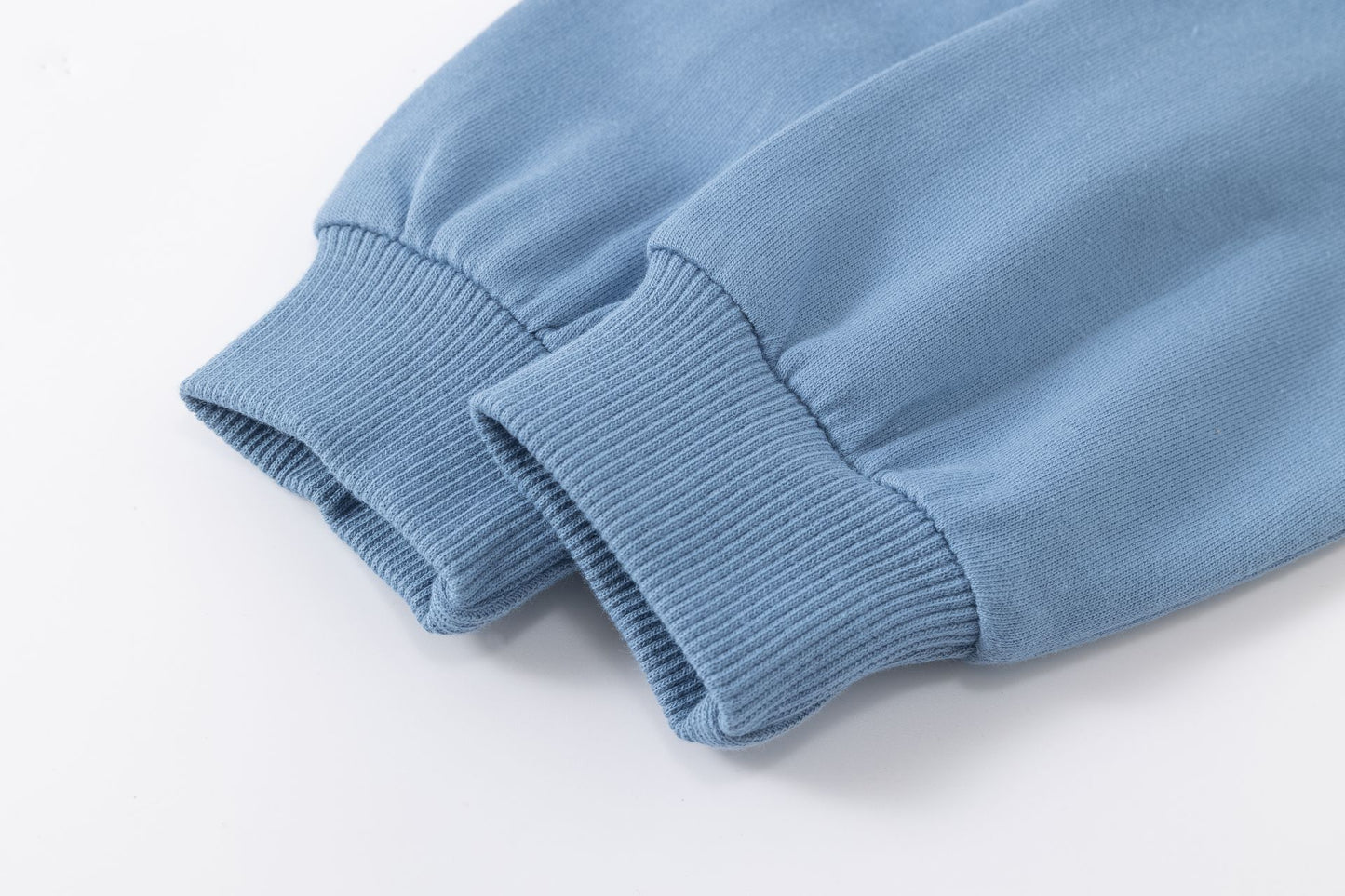 Conjunto bebé niño sudadera y pantalón felpa rizo perrito | Azul claro | 2-6 años