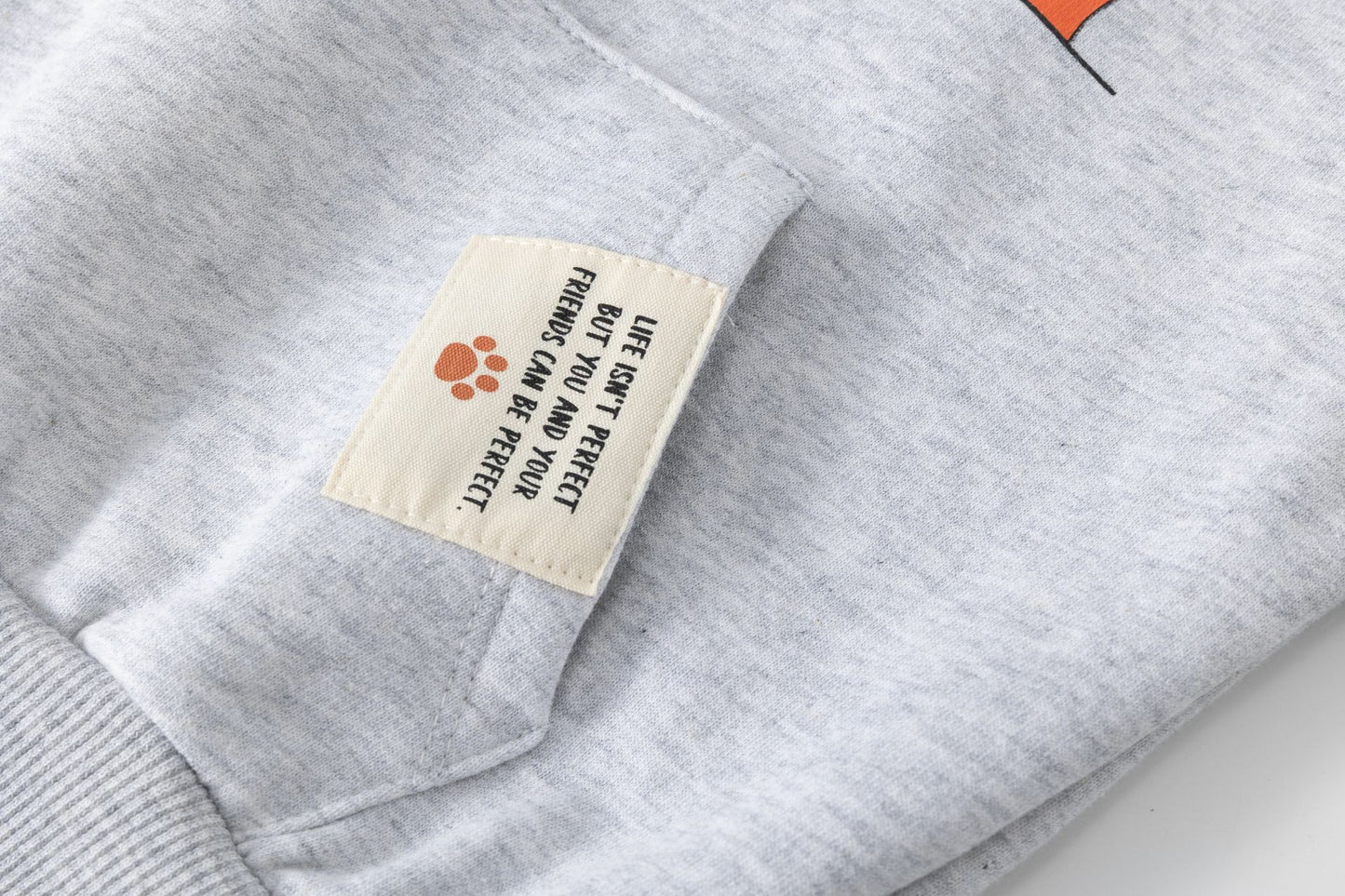Conjunto Sudadera con Capucha y Pantalón Largo Niño | Animalitos | 2-6 Años