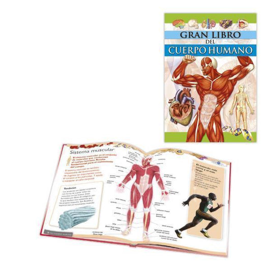 GRAN LIBRO DEL CUERPO HUMANO