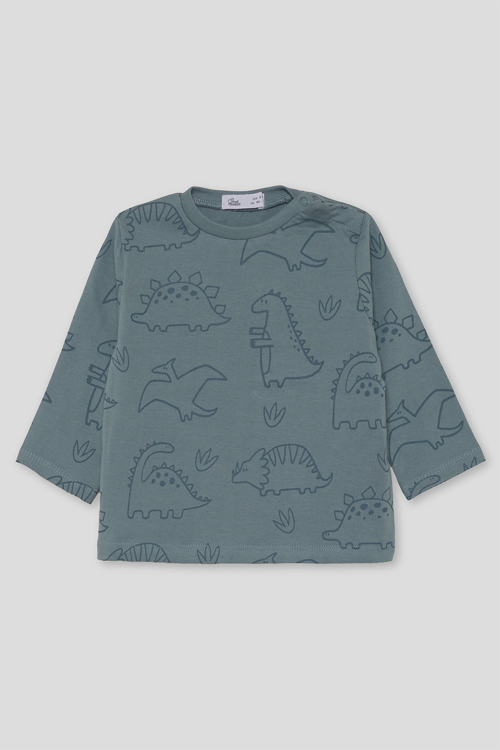 🦖 Camiseta de dinosaurios Street Monkey