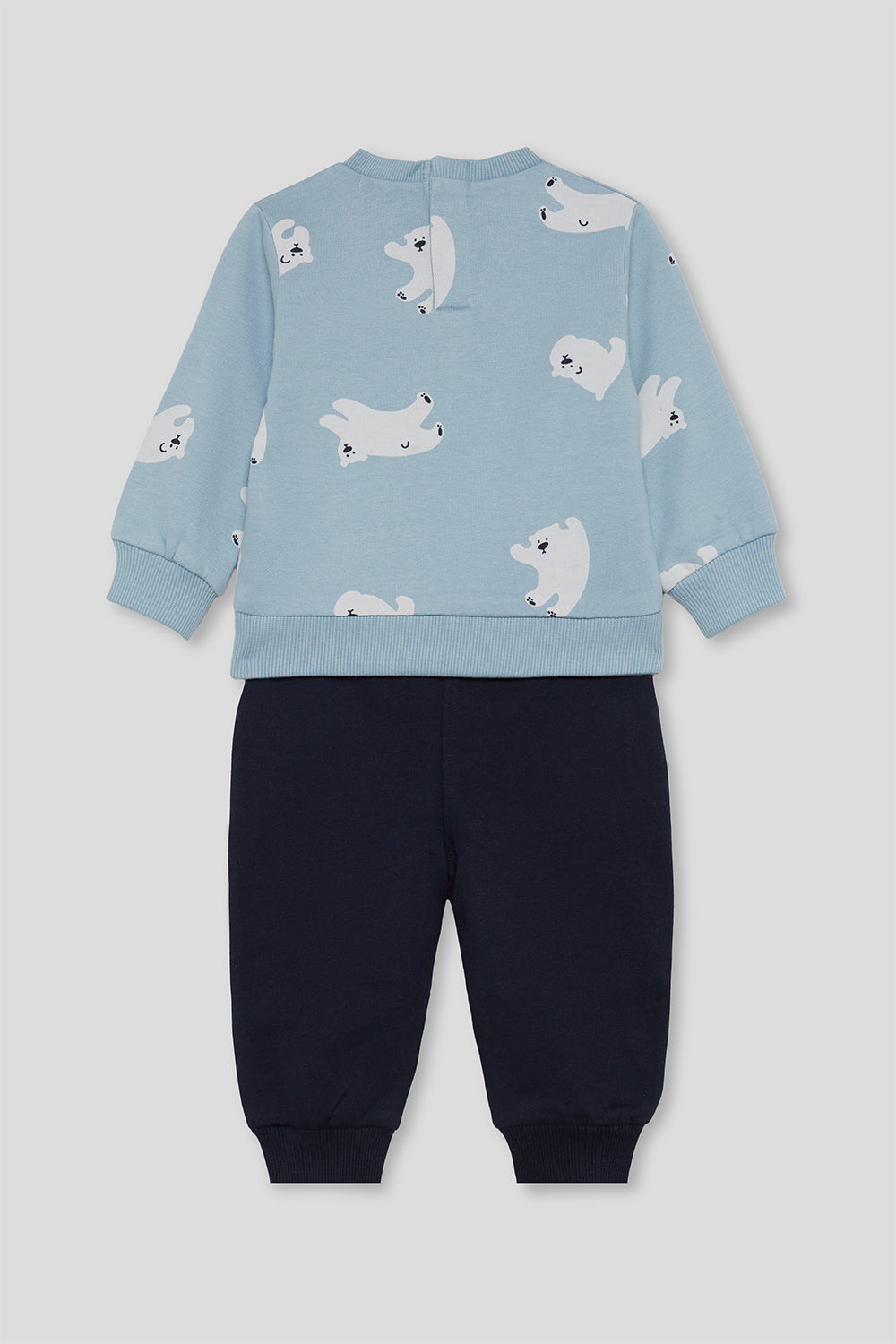 🐻‍❄️ Conjunto Arctic Adventure Street Monkey