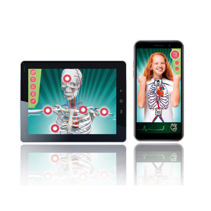 Superanatomía – Juego científico con esqueleto, órganos y realidad aumentada | 8+ años