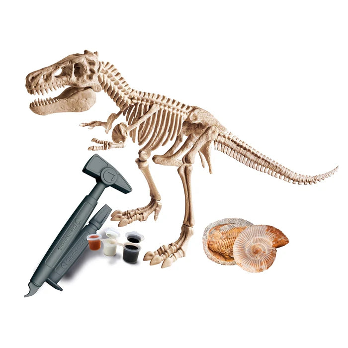 T-Rex Gigante – Kit de Excavación y Esqueleto Prehistórico 7+ | Clementoni