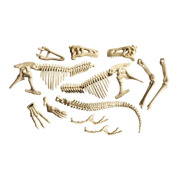 T-Rex Gigante – Kit de Excavación y Esqueleto Prehistórico 7+ | Clementoni