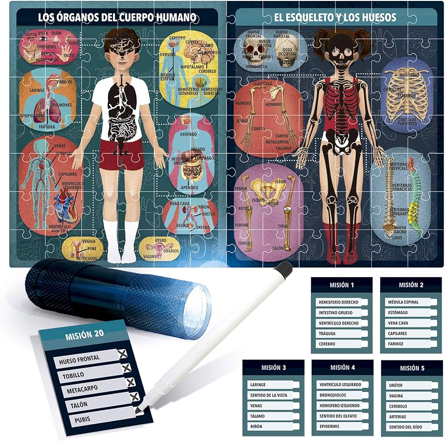 Headu El Cuerpo Humano Bajo Rayos X. Juego Infantil Educativo para Aprender el Cuerpo Humano para niños y niñas de 6 a 10 años